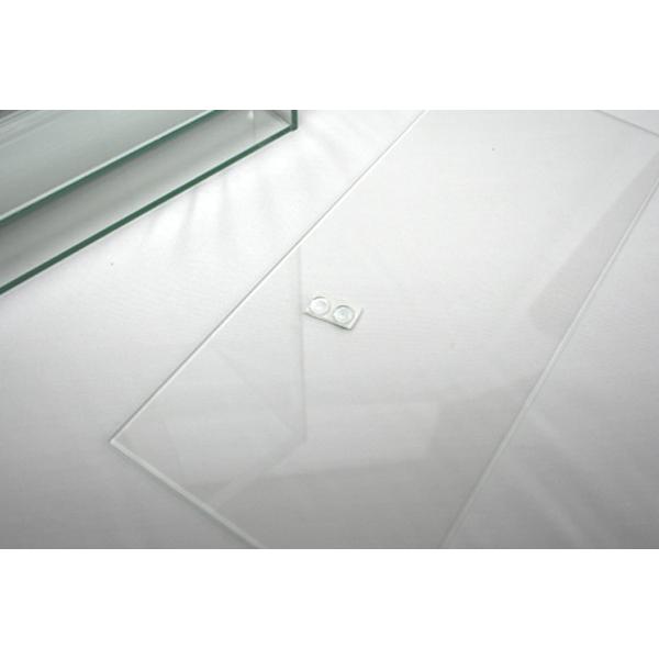 佐川急便発送・当日出荷14時まで・送料無料) Rain Forest パルダリウム