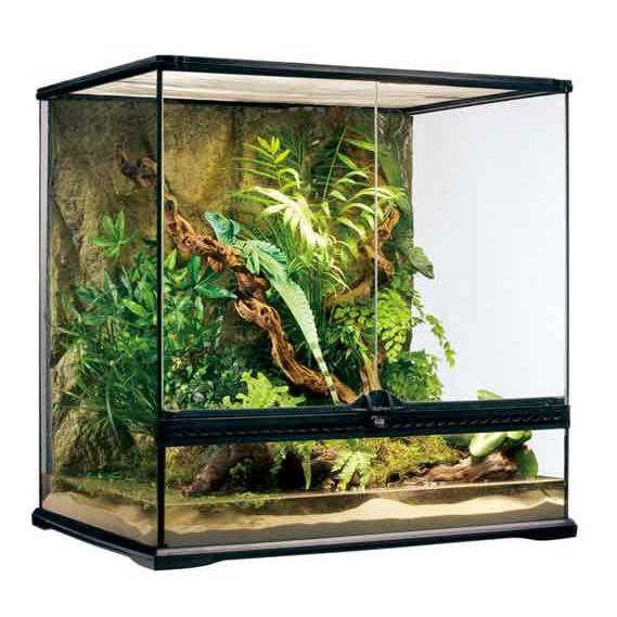 GEX（ジェックス） エキゾテラ グラステラリウム6060 PT2612 ※大型商品