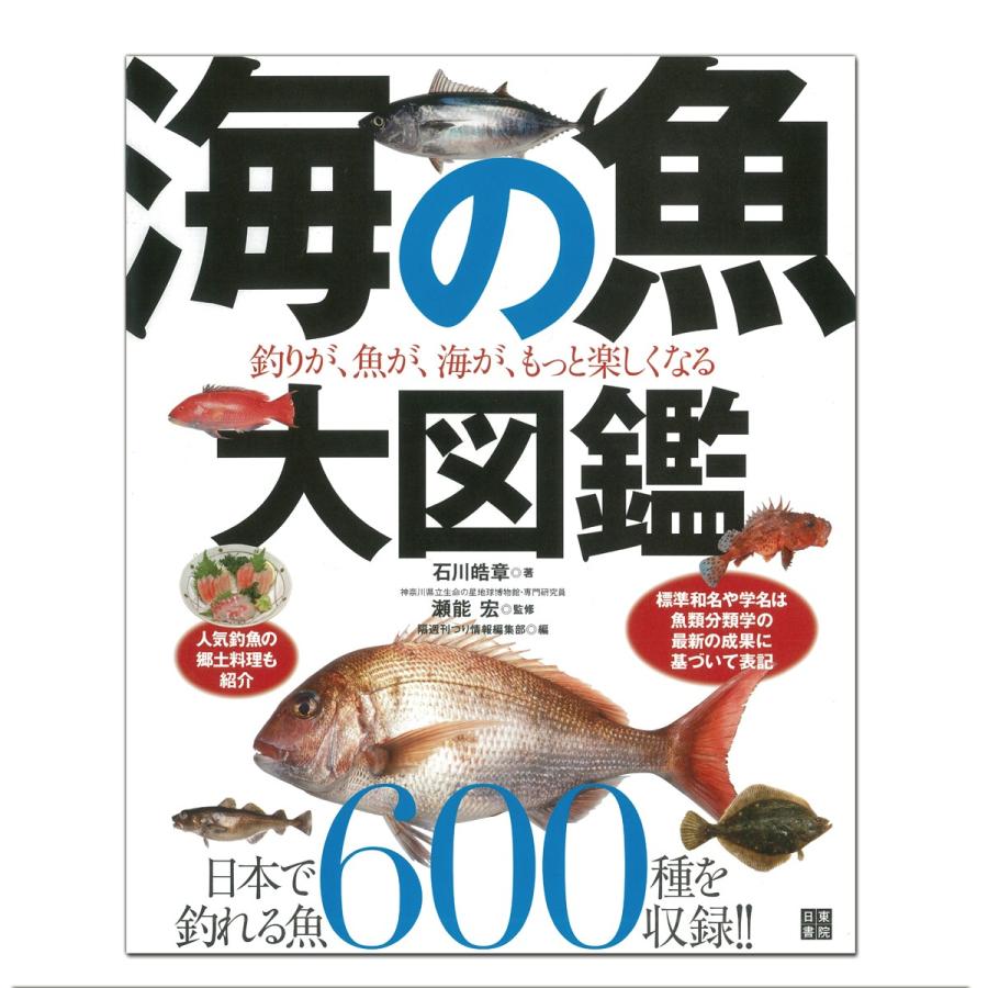 海の魚大図鑑 日東書院本社 石川皓章著 AB判変形判 書籍 【 本 図鑑 ず