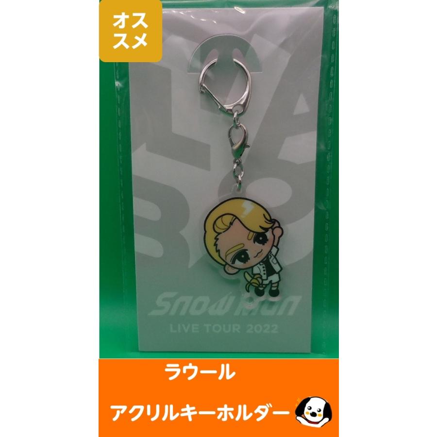 ラウール すのチルぶら下がりシリーズ アクリルキーホルダー Snow Man