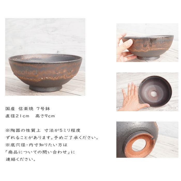 陶器鉢 植木鉢 7号 ワン型 金彩 ゴールド/ブラック おしゃれ