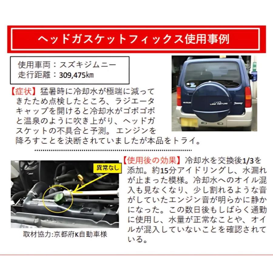 RISLONE リスローン ヘッドガスケットフィックス RP-61110 クーラント