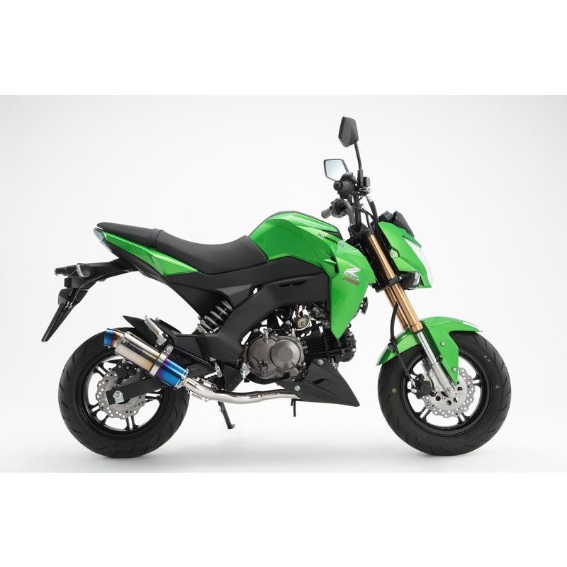 BEAMS（ビームス） BEAMS G424-53-007 Z125PRO 2BJ-BR125H R-EVO