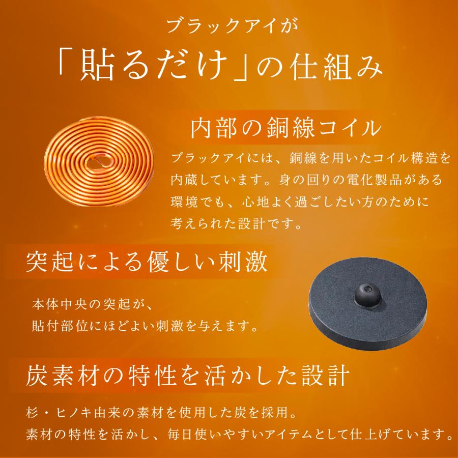 unica（ユニカ） 丸山式コイル ブラックアイ 30個入 貼替シール30枚入