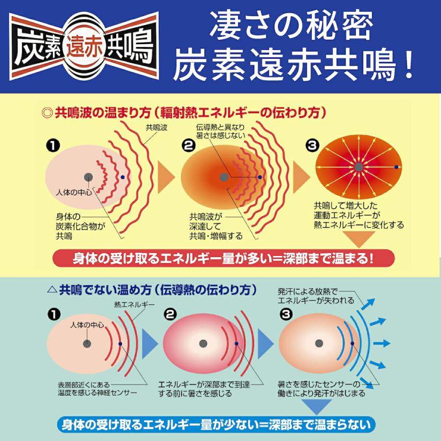 フジカ スマーティ F4-NX型 正規品 遠赤外線ドーム型サウナ デジタル式