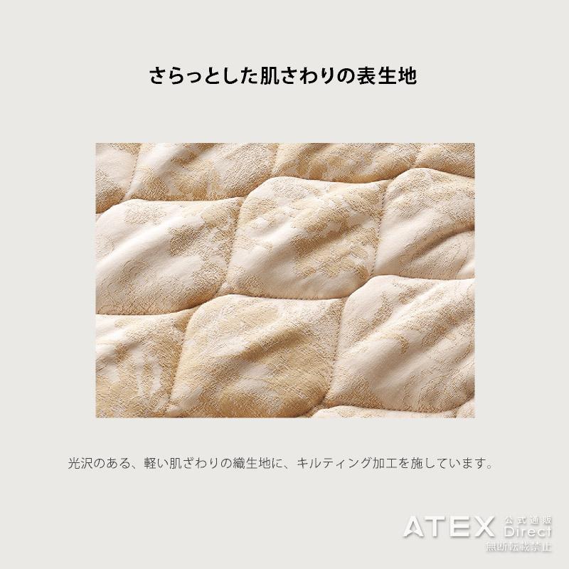 アテックス（ATEX） 家庭用 電位治療器 イオネス アルファ シングル AX