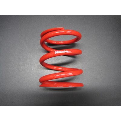 スイフトスポーツ ZC33S RRP レーシングリアスプリング ID65 4インチ