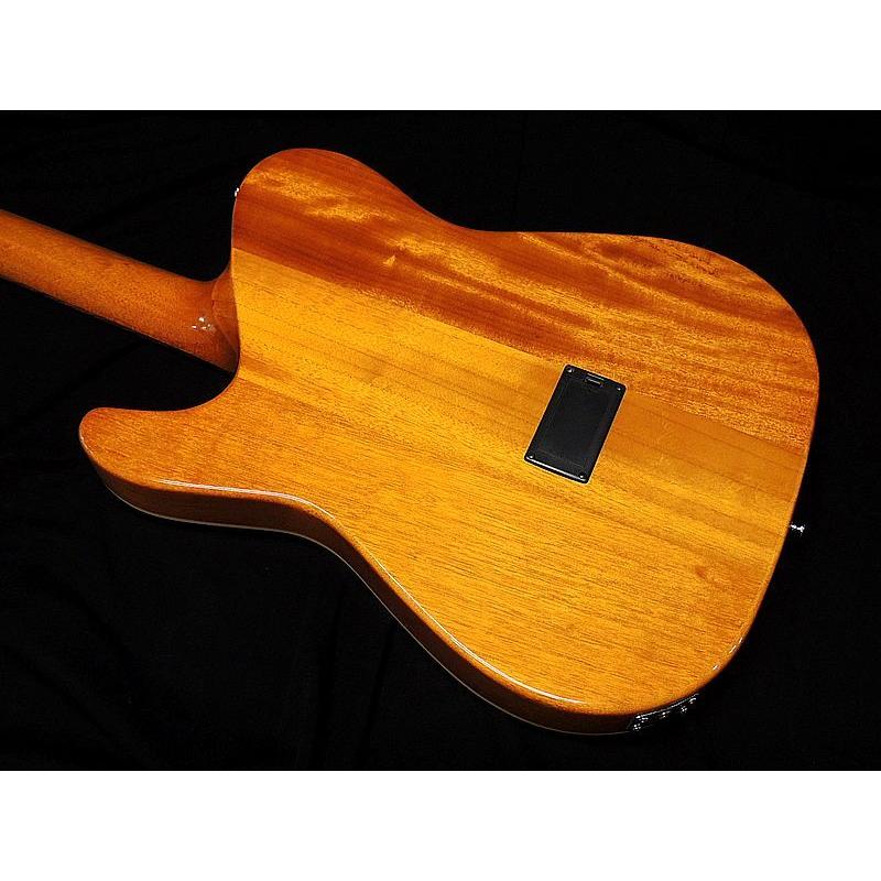 SCHECTER SCHECTER OL-FL BLK Oriental Line シェクター 薄胴