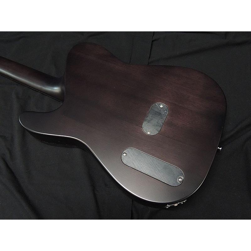 SCHECTER SCHECTER OL-FL-N-P TSB ナイロン弦 シェクター 薄胴