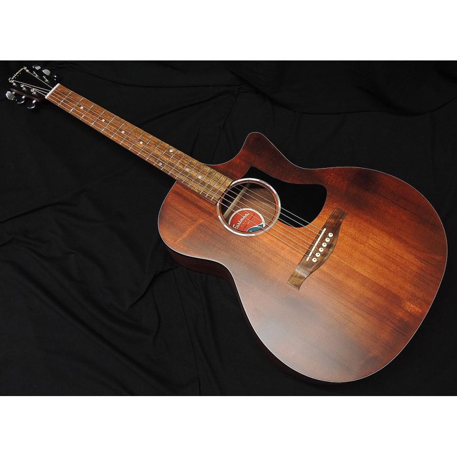 Eastman PCH1-GACE-CLA イーストマン Fishmanピックアップ エレアコ