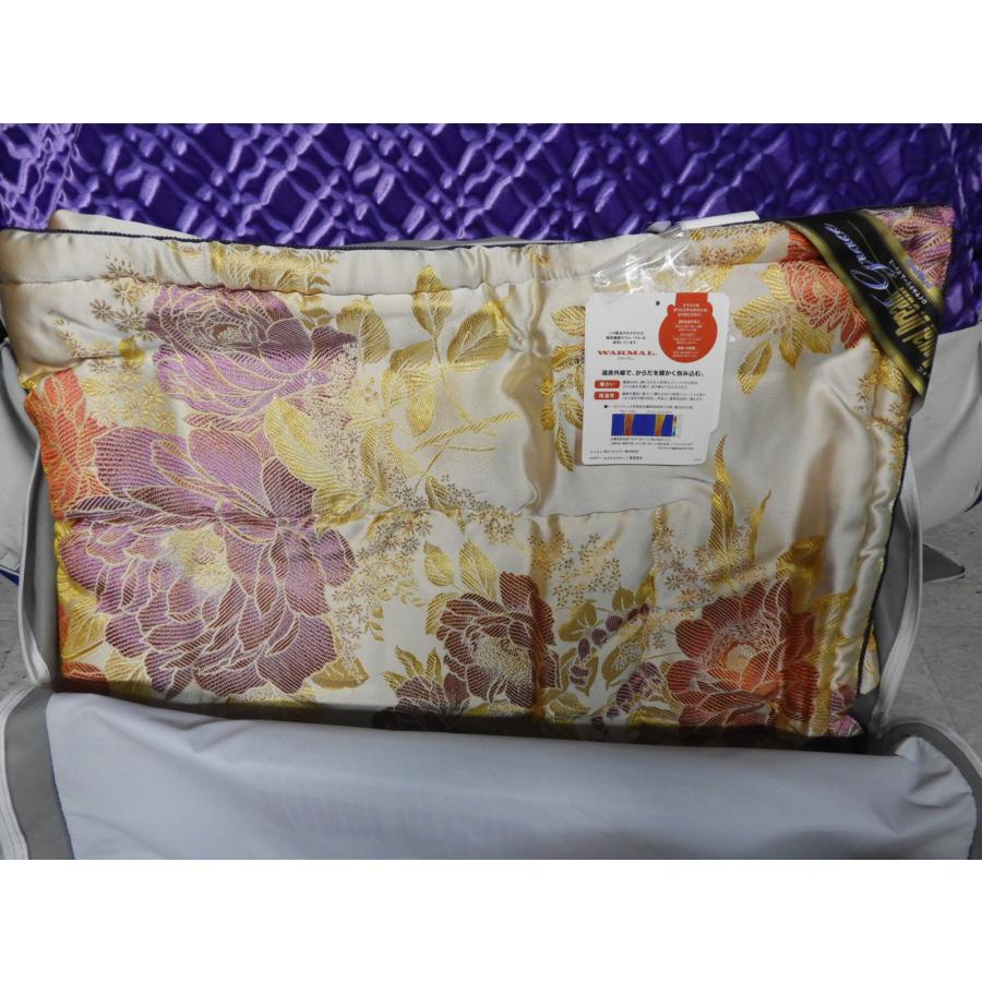 未使用 ロイヤルジャパン ロイヤルドリームファースト 電位・温熱