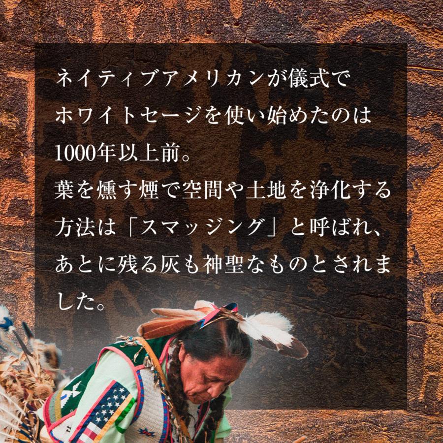 ホワイトセージ 浄化用 枝付き クラスター 約100g 浄化 無農薬 高品質