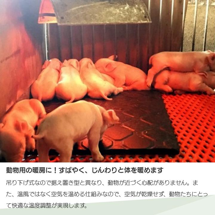 Panasonic（パナソニック） 【在庫有】パナソニック 畜産用カーボン