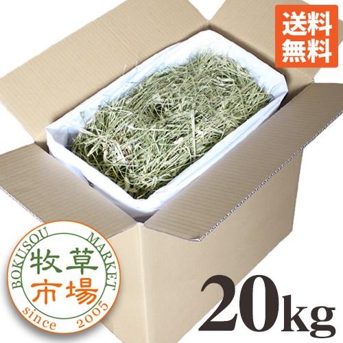 牧草市場 USチモシー 2番刈り 牧草 ダブルプレス 20kg袋入【sg