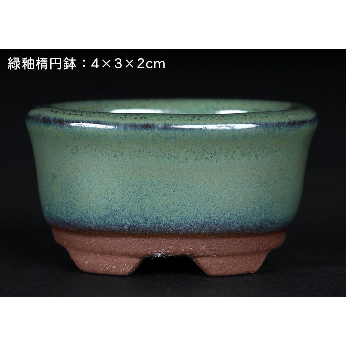 盆栽鉢 「瀬戸焼文山窯色豆鉢6点セット」 植木鉢 色鉢 豆鉢 1号3cm