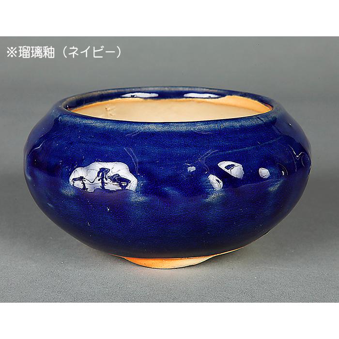 盆栽鉢 「広東色小鉢」 植木鉢 中国鉢 色小鉢 4号 11.5cm 小品盆栽