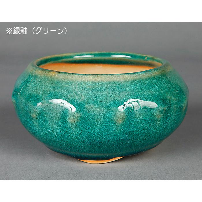 盆栽鉢 「広東色小鉢」 植木鉢 中国鉢 色小鉢 4号 11.5cm 小品盆栽