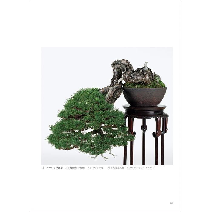 書籍 本 盆栽専門誌「第48回 日本盆栽作風展 記念帳」松柏 雑木 小品