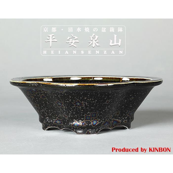 盆栽鉢 植木鉢 「平安泉山黒釉星結晶木瓜式鉢 大」 山草鉢 色鉢 清水焼