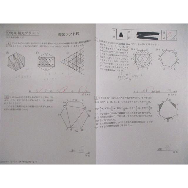 SAPIX サピックス 算数 分野別補充プリント 【計30回分】 2022 013m2D