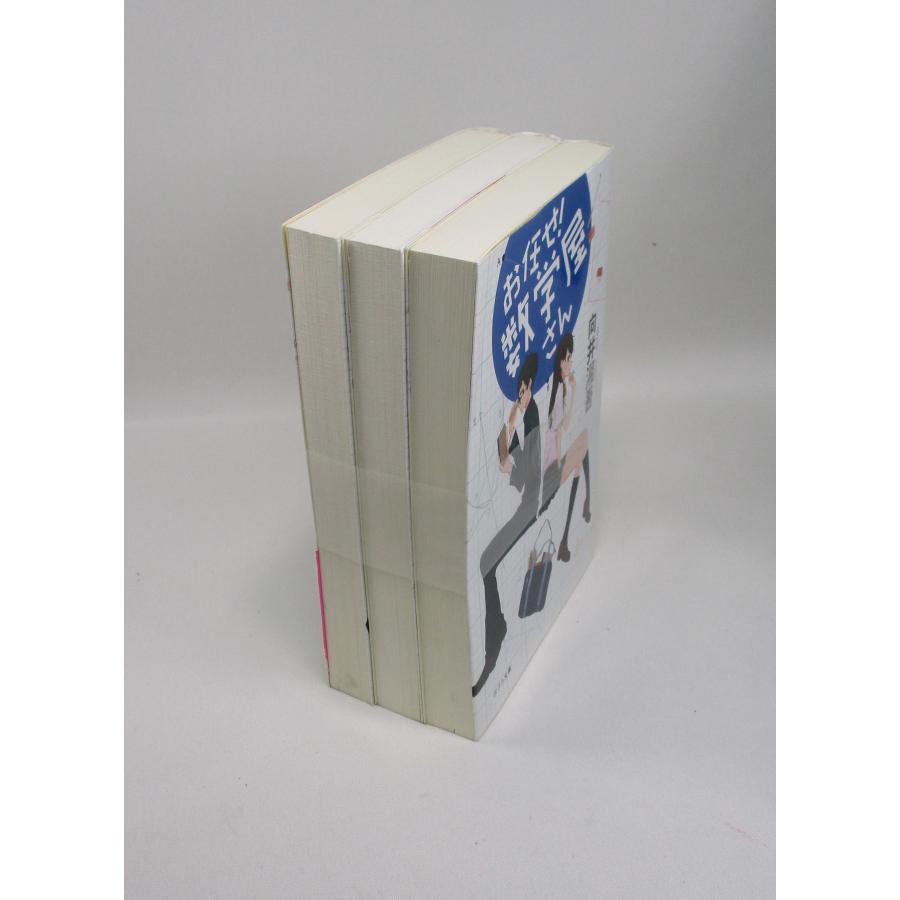 お任せ 数学屋さん 全巻 セット 全3巻 向井湘吾 ポプラ文庫 全巻セット