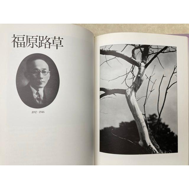 福原信三 福原路草写真集 光と其諧調 ニコンサロンブックス3