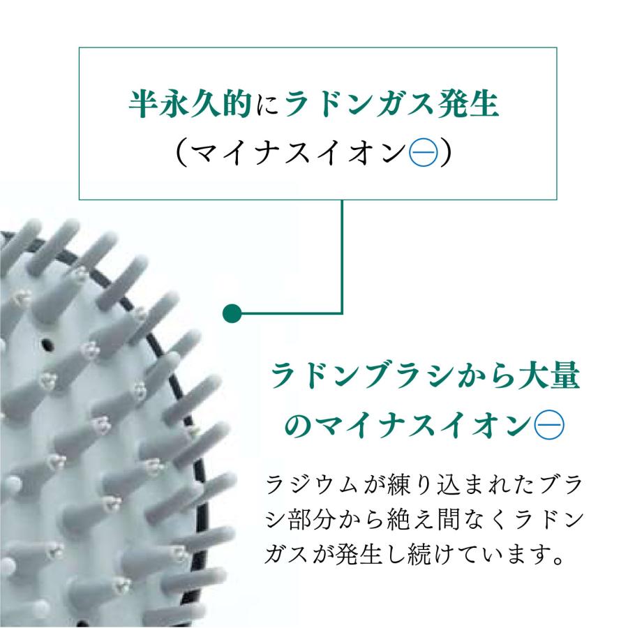 爆買 エナジーラドンブラシ ER-100C シャンプーブラシ 頭皮ケア 育毛