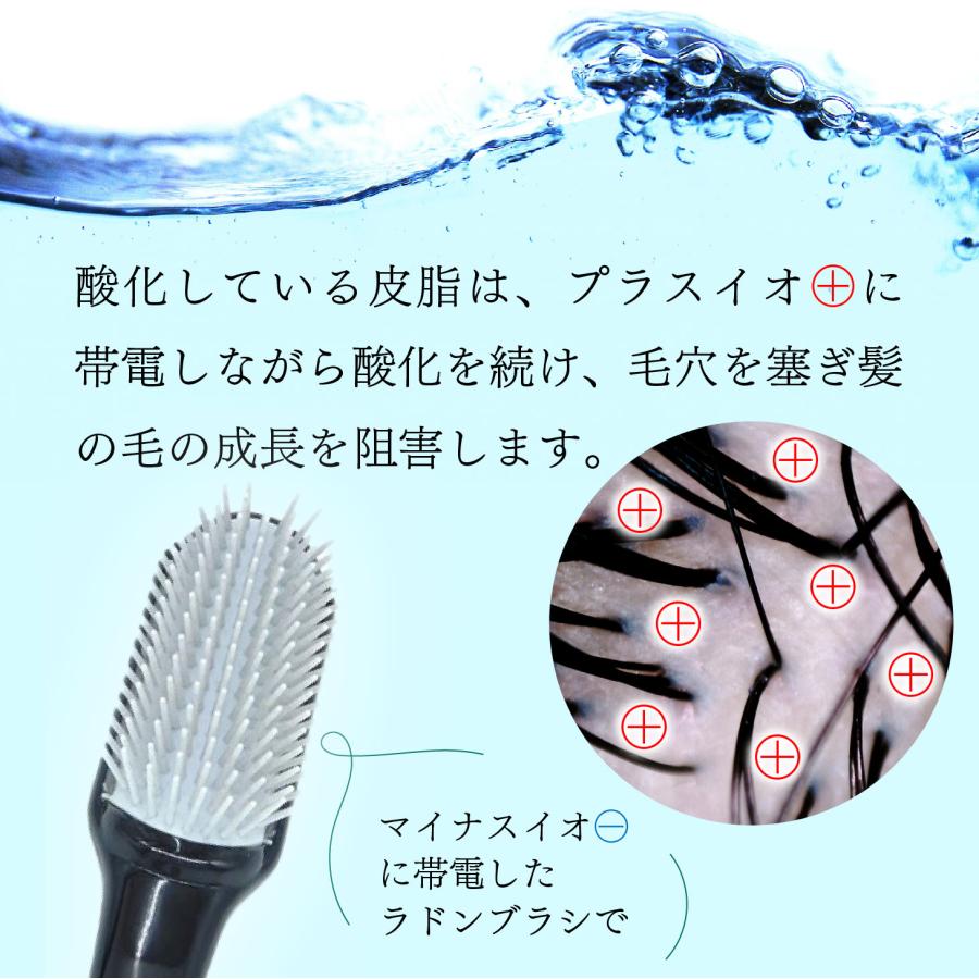 爆買 エナジーラドンブラシ ER-100C シャンプーブラシ 頭皮ケア 育毛