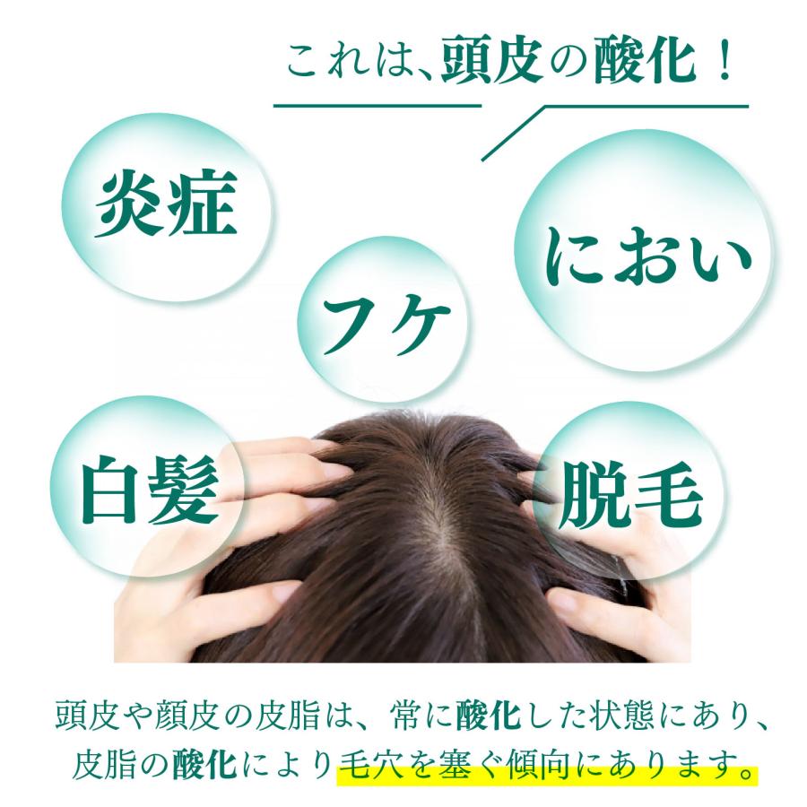 爆買 エナジーラドンブラシ ER-100C シャンプーブラシ 頭皮ケア 育毛