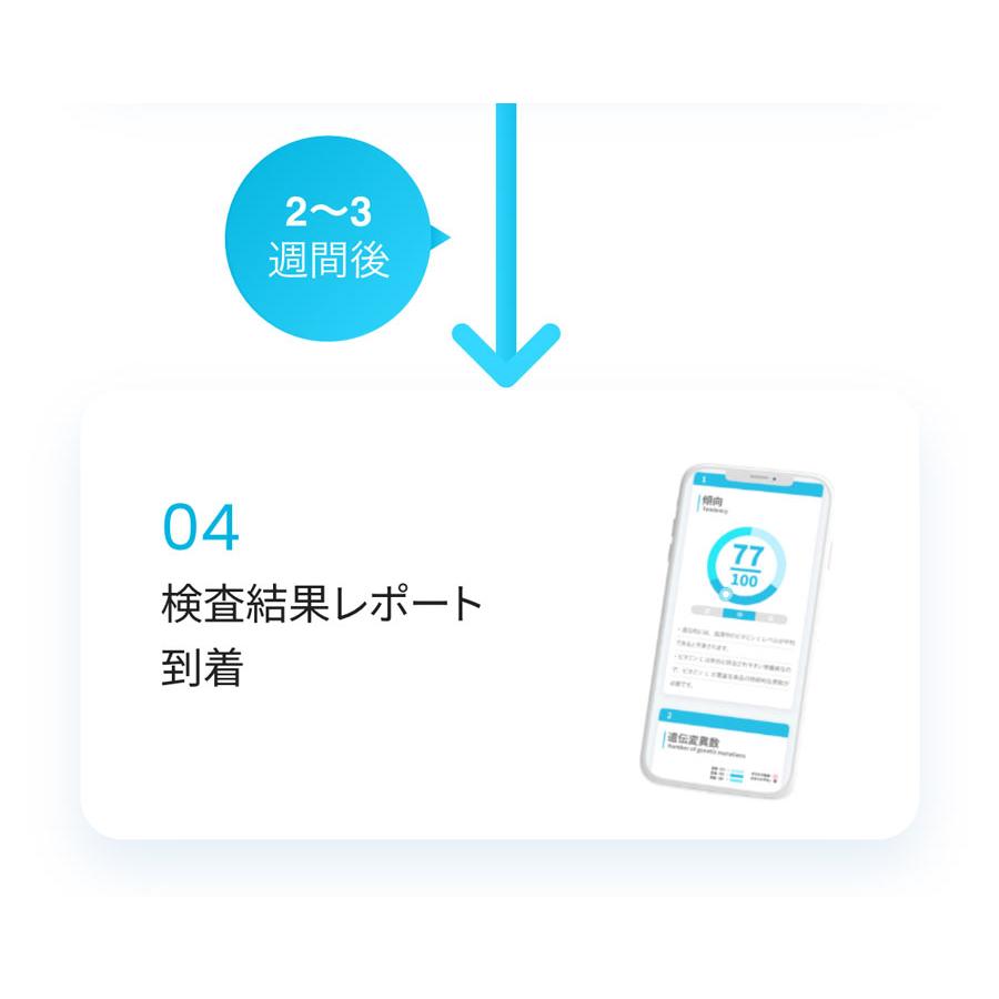 遺伝子検査chatGENE Pro 遺伝子検査500項目＆毛髪ミネラル検査 29元素