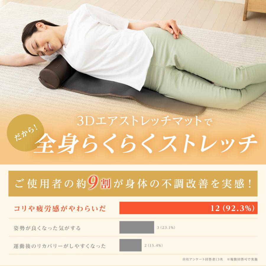 ドクターエア（DOCTORAIR） 3Dエアストレッチマット EAM-01 ストレッチ