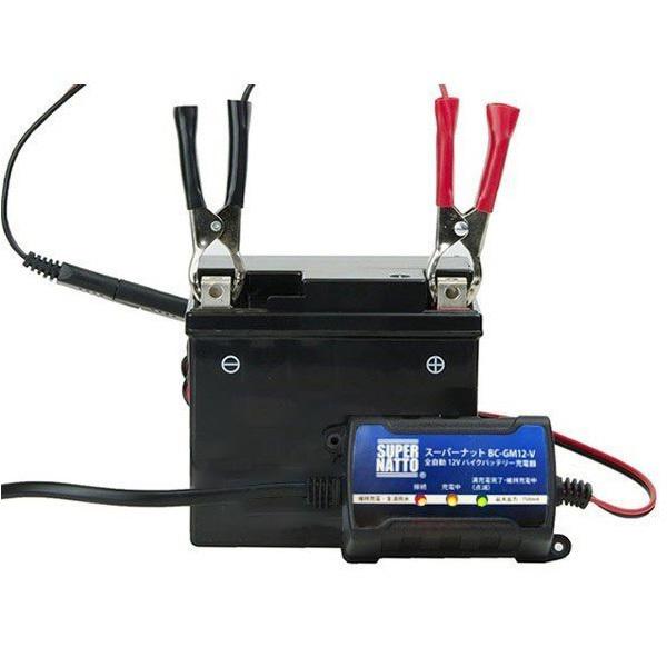 バイク バッテリー YTZ10S お得2点セット バッテリー+12V充電器