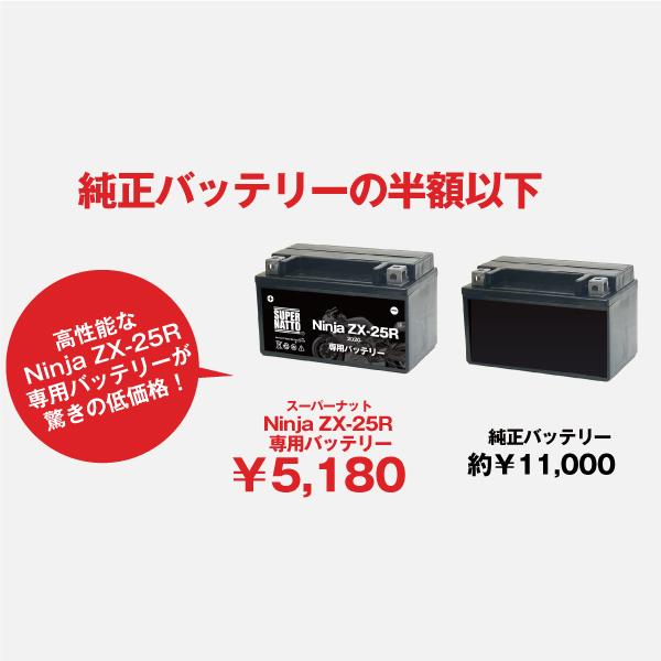 SUPER NATTO（スーパーナット） バイク用バッテリー＋充電器セット