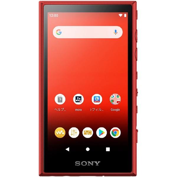 WALKMAN Aシリーズ SONY ウォークマン 2019年モデル カナル型イヤホン