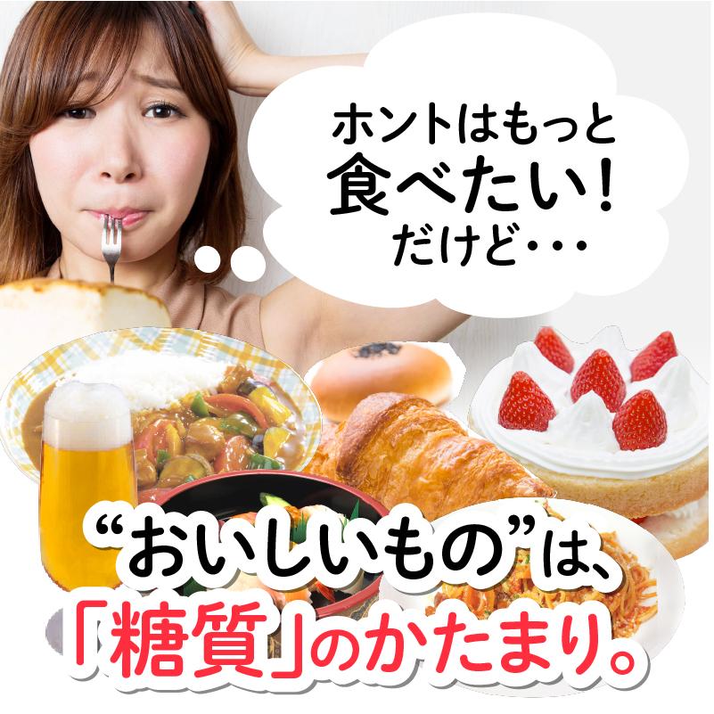 ザ糖質プレミアムダイエット 60粒入パック(約1-2か月分) 【2個以上ご