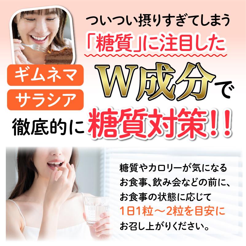 ザ糖質プレミアムダイエット 60粒入パック(約1-2か月分) 【2個以上ご