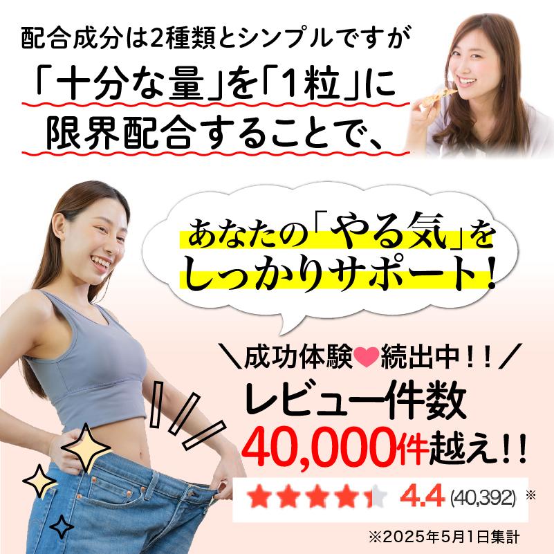 ザ糖質プレミアムダイエット 20粒入り サラシア ギムネマ 糖質