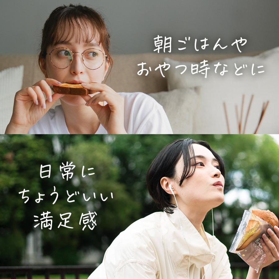 BASE FOOD（ベースフード） ベースブレッド 6種12袋 パン [チョコ