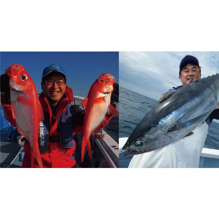 アルファタックル スフィンクス ツナ＆ディープ 190 alpha tackle