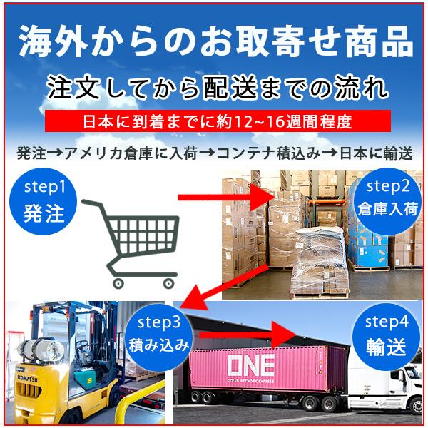 お取り寄せ/屋外遊具 ライフタイム ダブル スライド デラックス プレイ