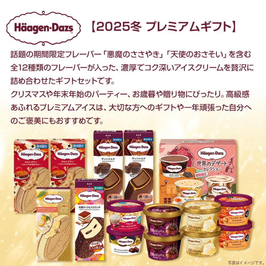 2025 冬ギフト】ハーゲンダッツ プレミアムギフト | アイスクリーム