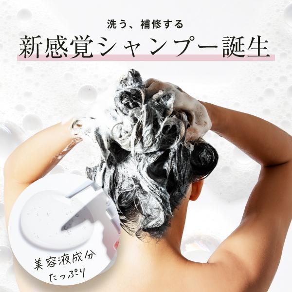 ベルタ（BELTA） シャンプー 女性 ベルタスカルプシャンプー 無添加