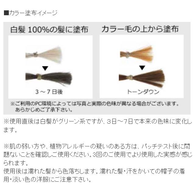JAPAN HENNA ヘナ ジャパンヘナ ブロンズ グレー ヘナパウダー 業務用