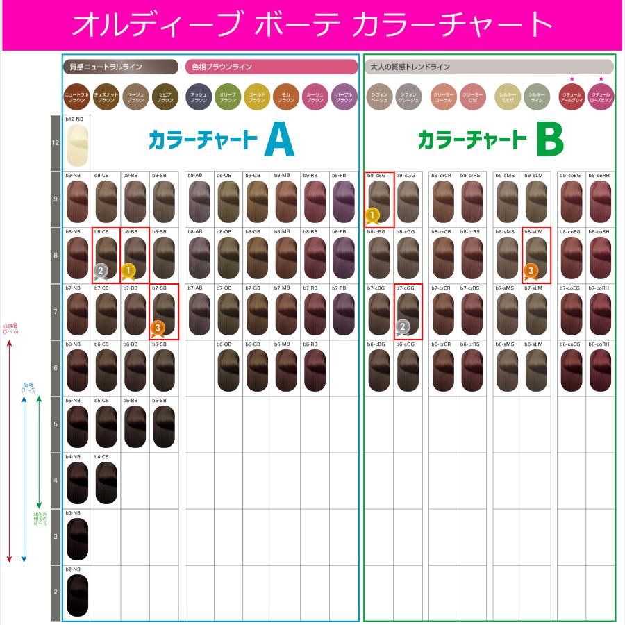 ORDEVE（オルディーブ） 白髪染め ミルボン オルディーブボーテ 80g 1