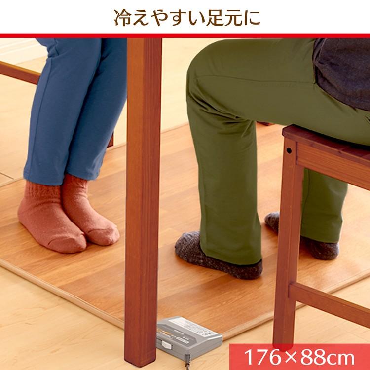 IRIS OHYAMA（アイリスオーヤマ） ホットカーペット 1畳 本体 88×176cm