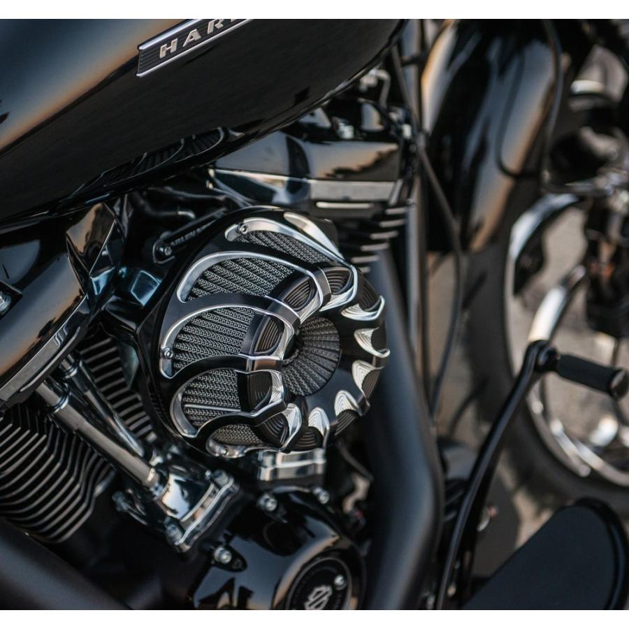 Harley Davidson（ハーレー・ダビッドソン） Arlen Ness・XL スポーツ