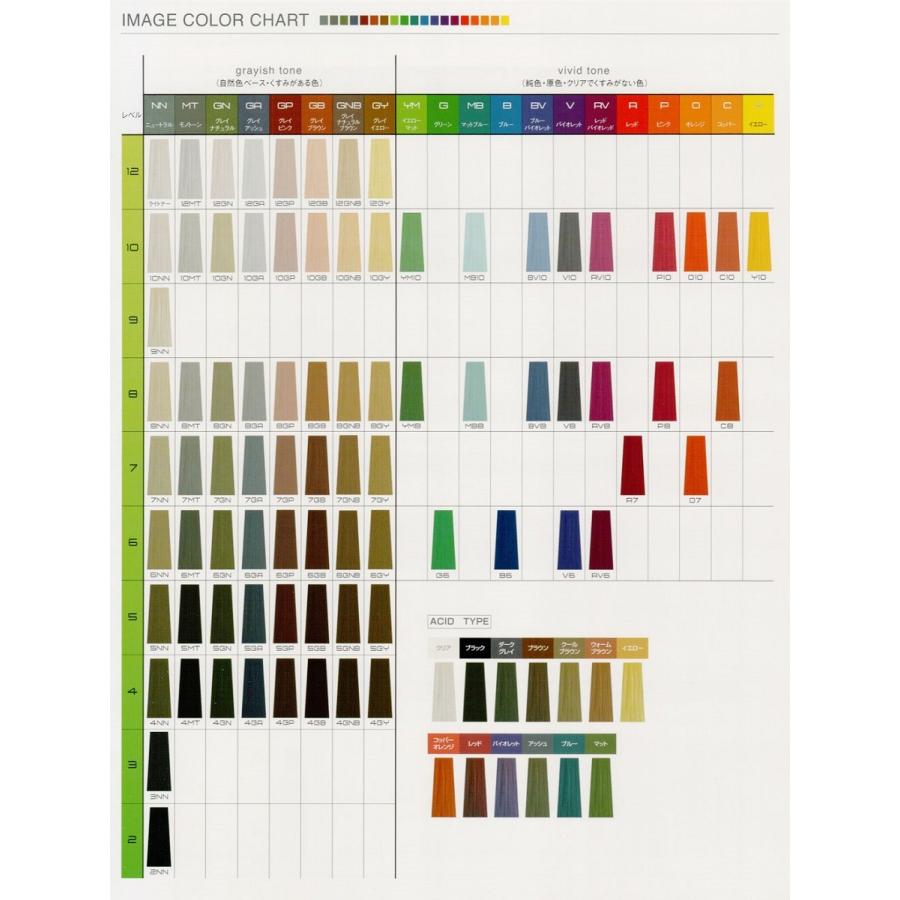 FIOLE（フィヨーレ） BLカラー ダークグレイ 120G : BeautyPro Magica