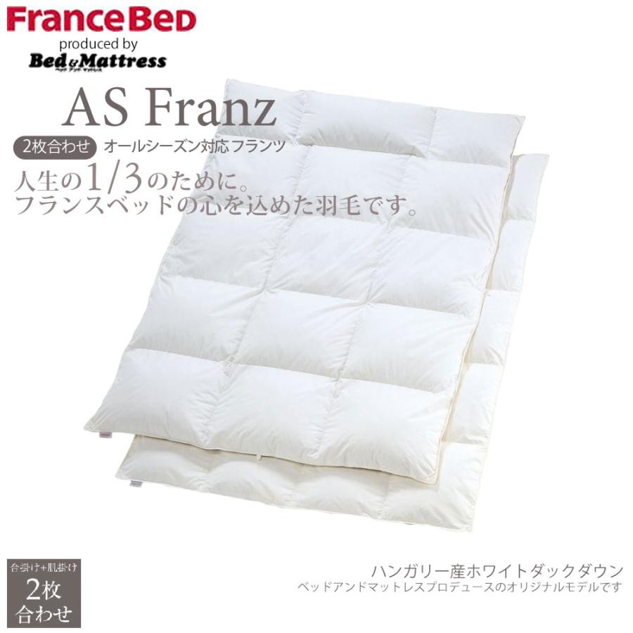 フランスベッド（FRANCEBED） オールシーズン対応羽毛ふとん シングル