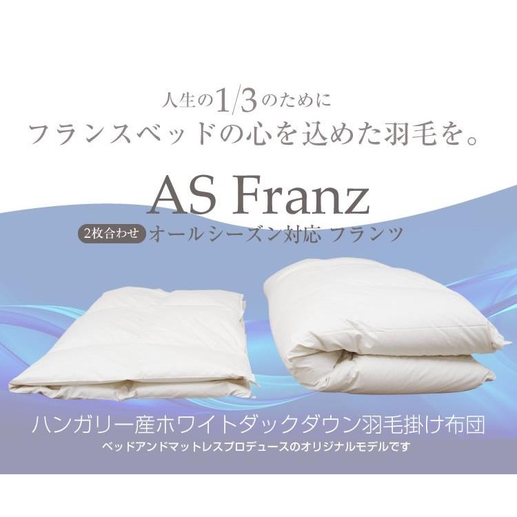 フランスベッド（FRANCEBED） オールシーズン対応羽毛ふとん シングル