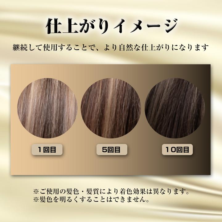 ヘアカラー シャンプー 450g 1袋 白髪染め トリートメント ヘア